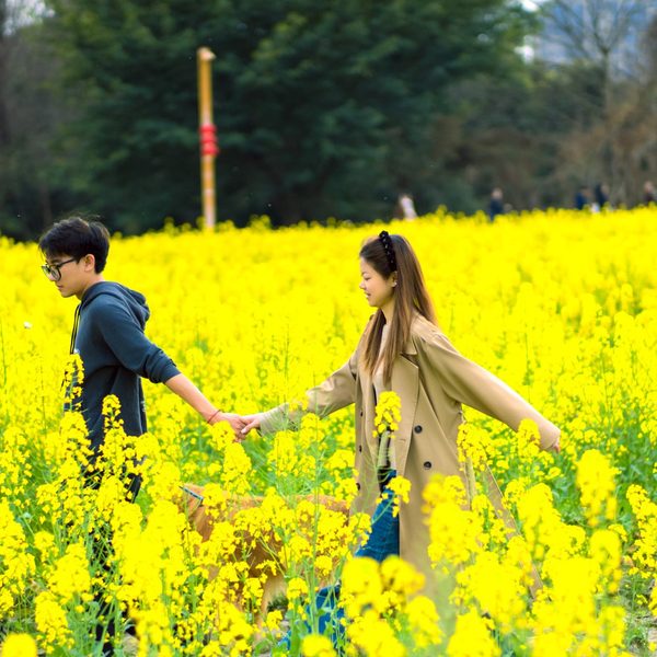 金色的梦境里 人在画中游